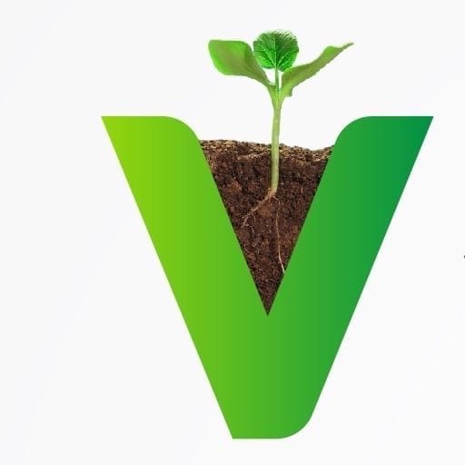 STICHTING VOORGROND logo